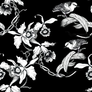 Kuşlarda dal seamless modeli