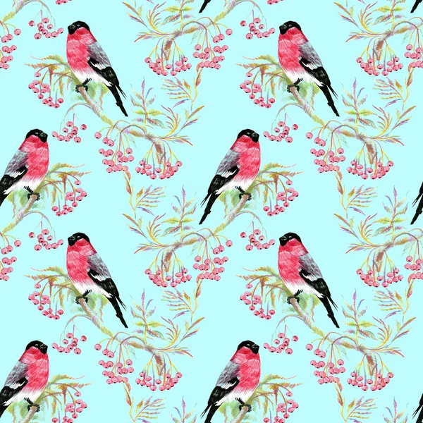dal bullfinches
