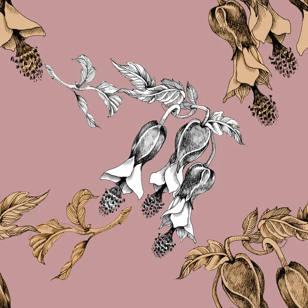 꽃가루주머니없는 무늬 — 스톡 사진