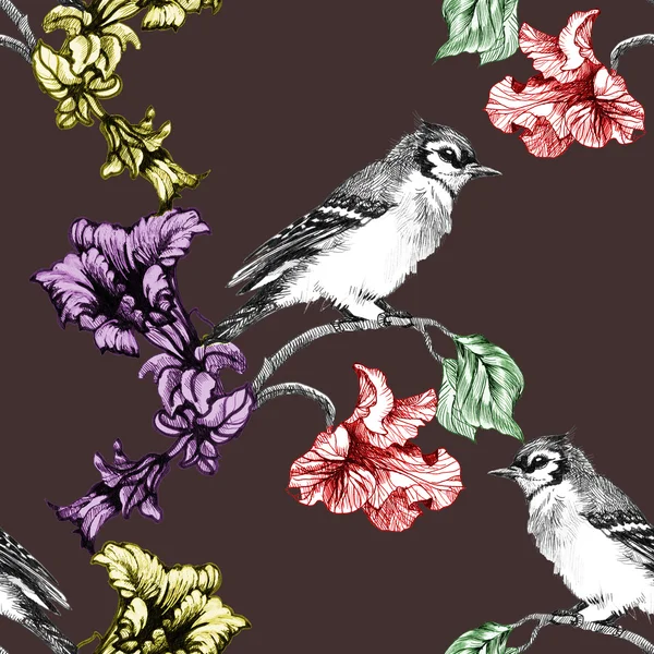 Πολύχρωμα πουλιά σε κλαδί με λουλούδια — Φωτογραφία Αρχείου