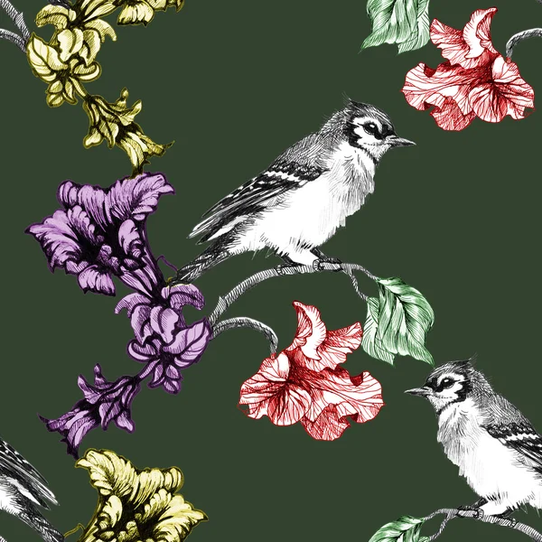 Pássaros coloridos no ramo com flores — Fotografia de Stock