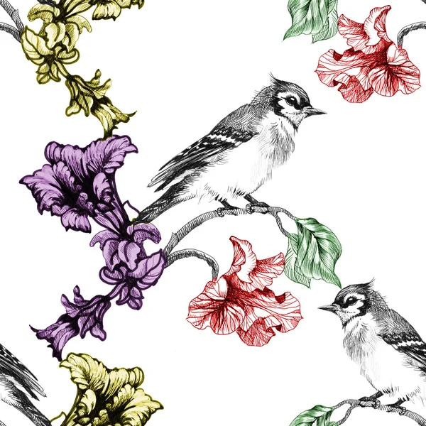 Birds on branch with flowers — Stock Photo, Image