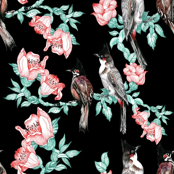 Oiseaux colorés sur branche avec des fleurs — Photo
