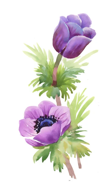 Aquarell-Tulpen — Stockfoto