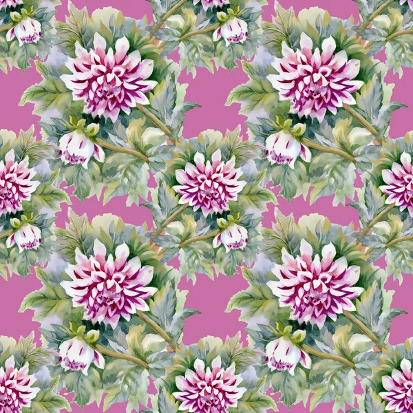 菊の花のパターン — ストック写真