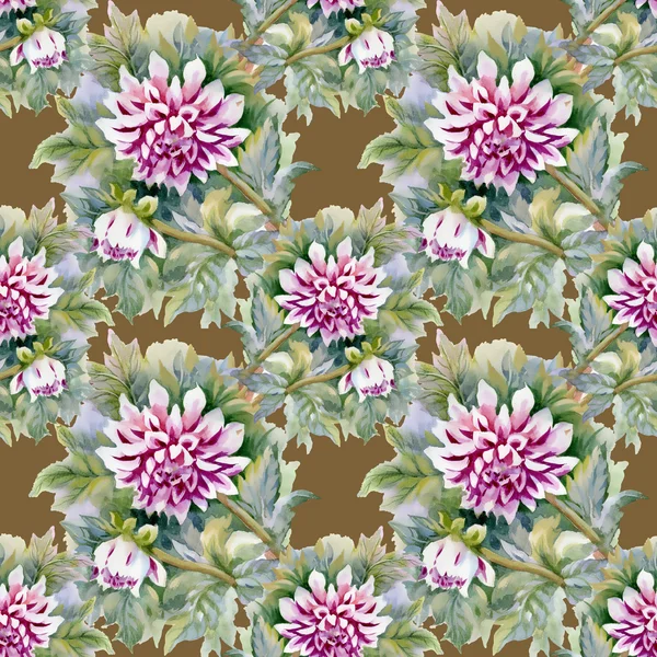 菊の花のパターン — ストック写真