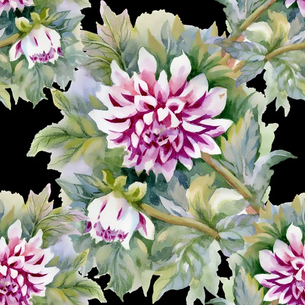 Modèle de chrysanthèmes — Photo