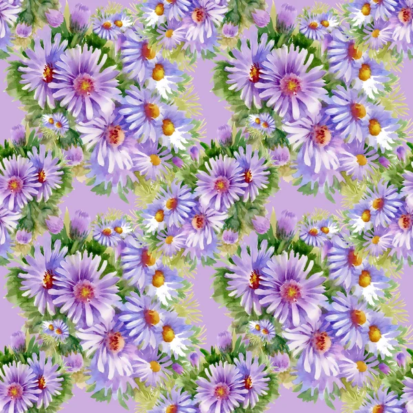 Purple daisies  pattern — Stock Photo, Image