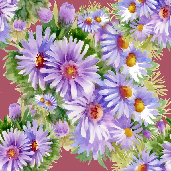 Purple daisies  pattern — Stock Photo, Image