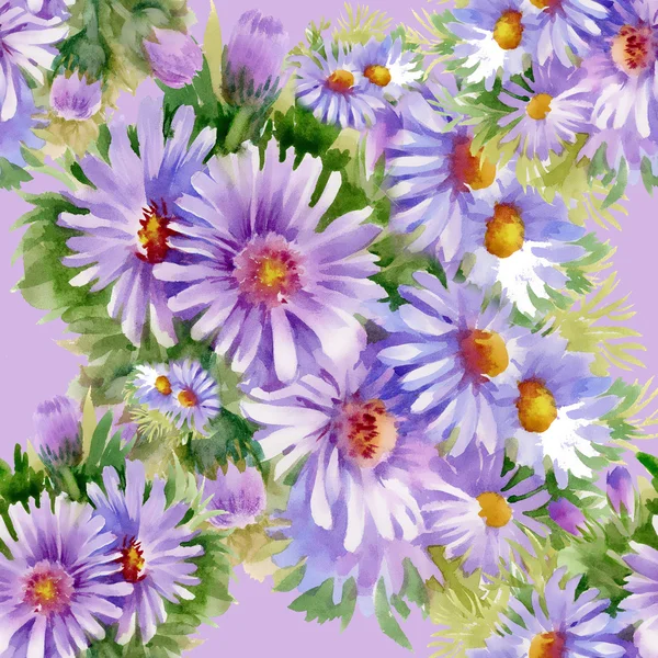 Purple daisies  pattern — Stock Photo, Image