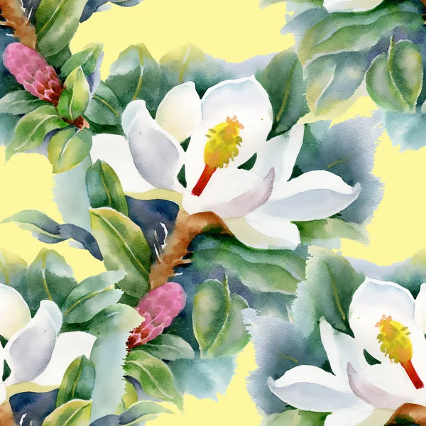 Magnolias pattern — Stock Photo, Image