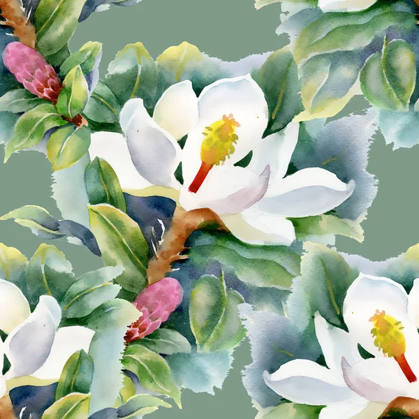 Modèle de Magnolias — Photo