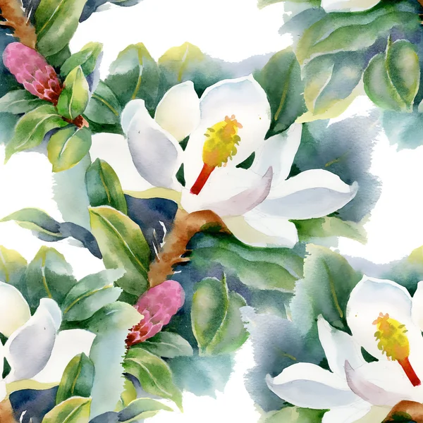 Magnolias pattern — Stock Photo, Image