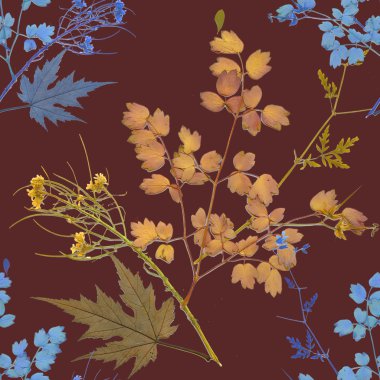 Sulak bitkiler arka plan