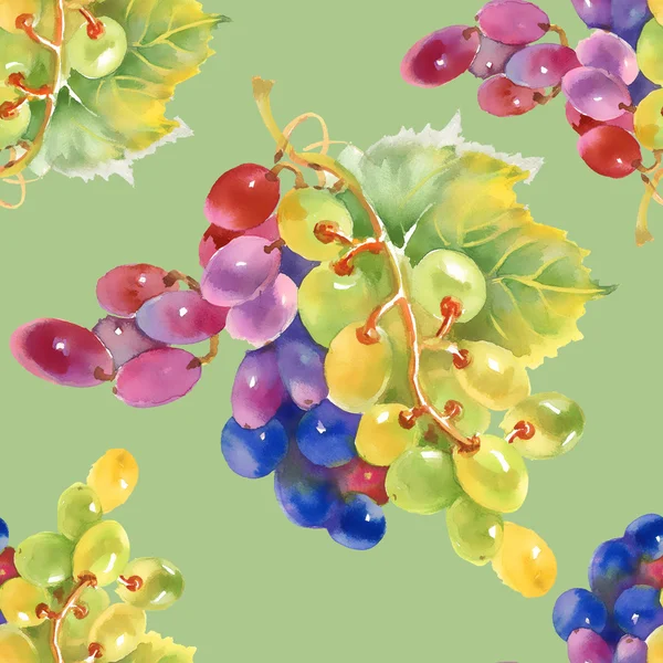 Grape seamless pattern — Stock Photo, Image