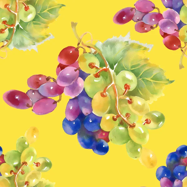 Grape seamless pattern — Stock Photo, Image
