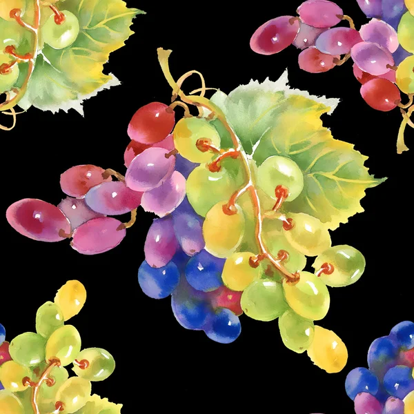 Grape seamless pattern — Stock Photo, Image