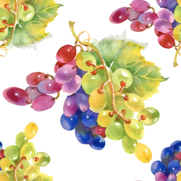 Grape seamless pattern — Stock Photo, Image