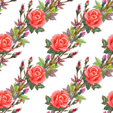 Sulu boya pembe Gül seamless modeli