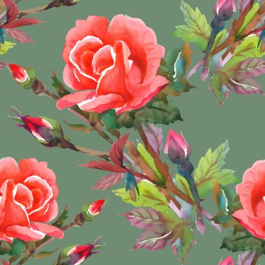 Sulu boya pembe Gül seamless modeli