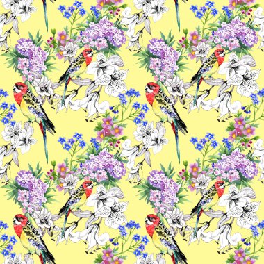 Renkli papağan ve çiçekler