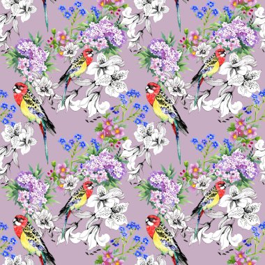 Renkli papağan ve çiçekler