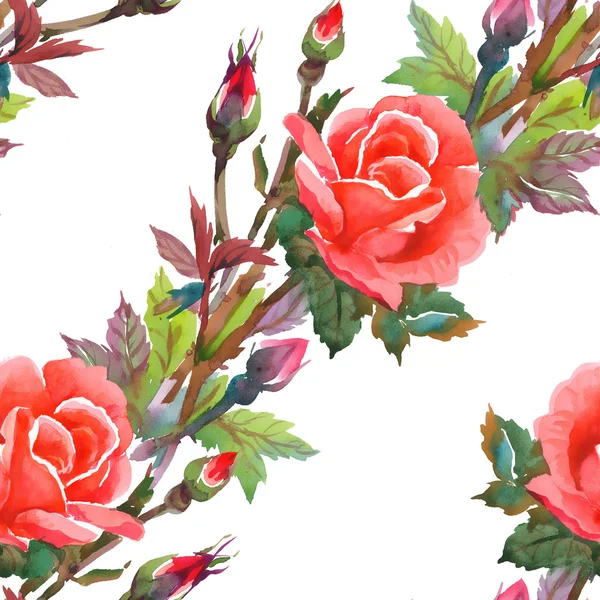 Akvarell rosa rosor seamless mönster — Stockfoto