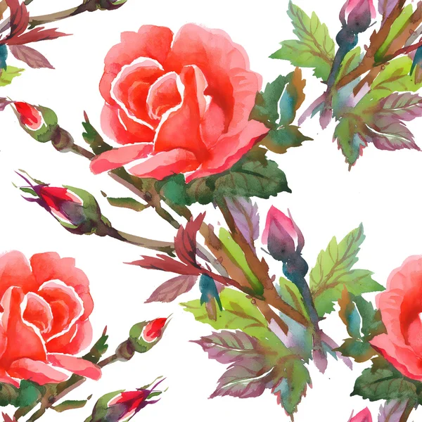 Aquarel roze rozen naadloze patroon — Stockfoto