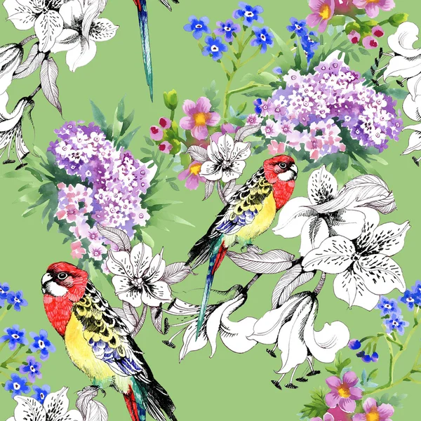 Perroquets et fleurs colorées — Photo