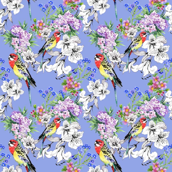 Renkli papağan ve çiçekler — Stok fotoğraf