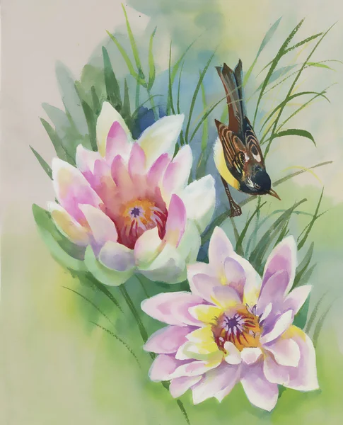 Птица сидит на цветах лилии — стоковое фото