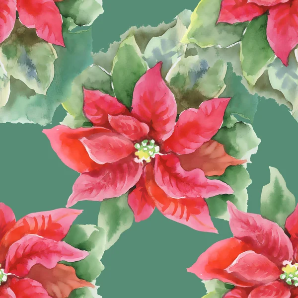 Red Poinsettia seamless pattern — Stock Photo, Image