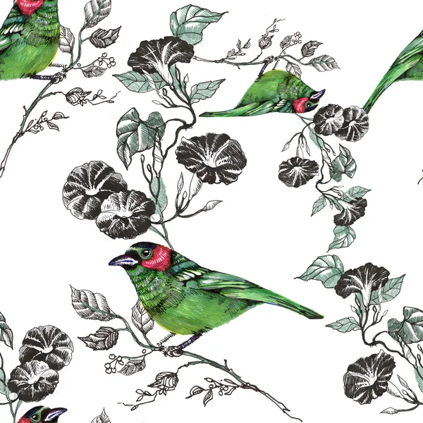 Nahtloses Muster mit Vögeln und Blumen — Stockfoto