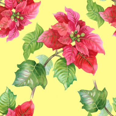 Suluboya kırmızı çiçekler