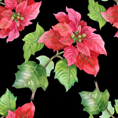 Suluboya kırmızı çiçekler