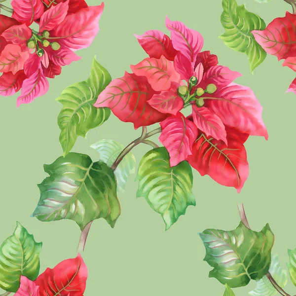 Watercolor red flowers — Stock Photo, Image