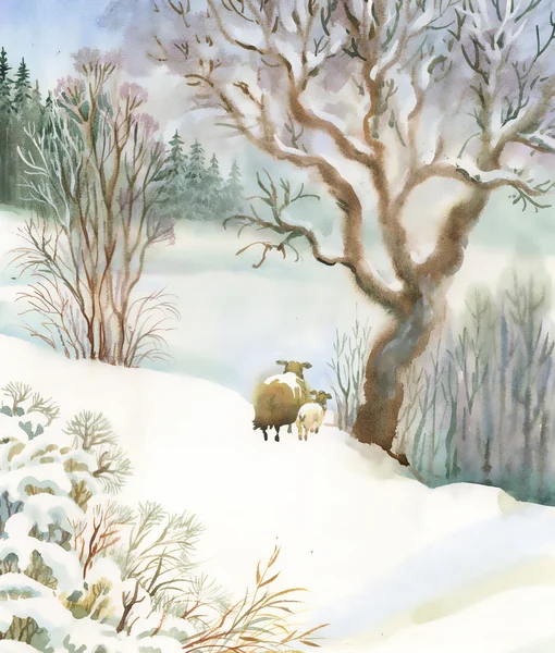 Зимний пейзаж с овцами — стоковое фото