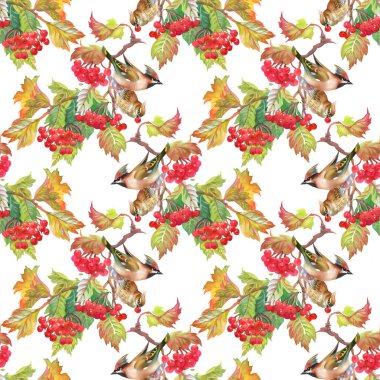 Kuşlar kartopu dallar