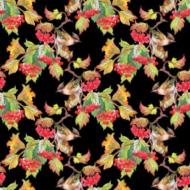 Kuşlar kartopu dallar