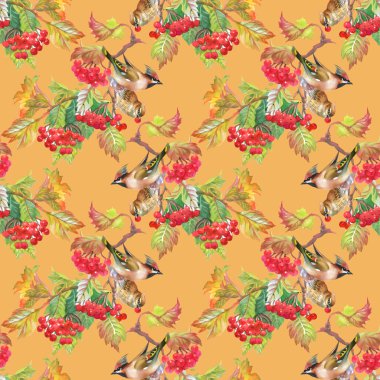 Kuşlar kartopu dallar