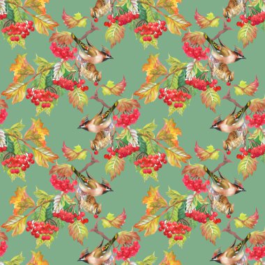 Kuşlar kartopu dallar