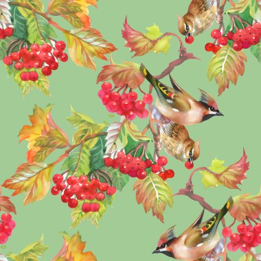 Kuşlar kartopu dallar