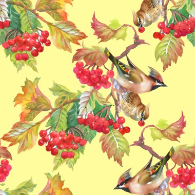 Kartopu şube kuşlarda