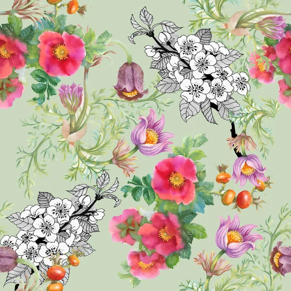 Akvarell vadvirágok háttér — Stock Fotó