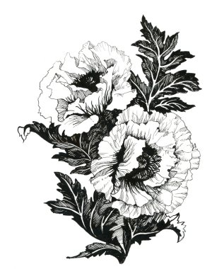 haşhaş çiçek şekil