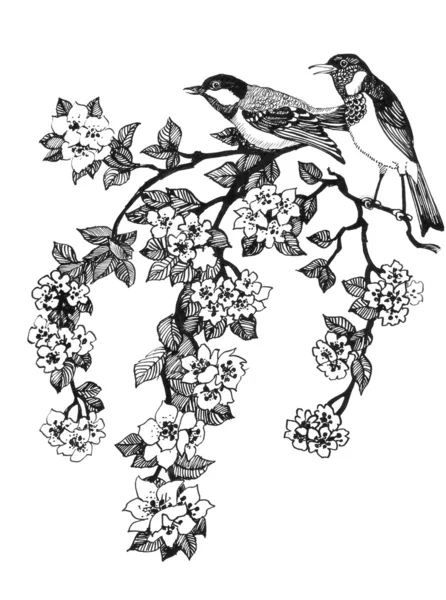 Ptáci na větvi třešeň — Stock fotografie