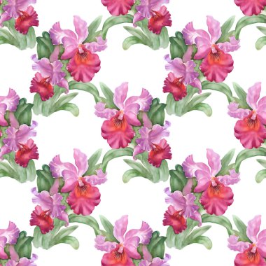 Renkli iris çiçek arka plan