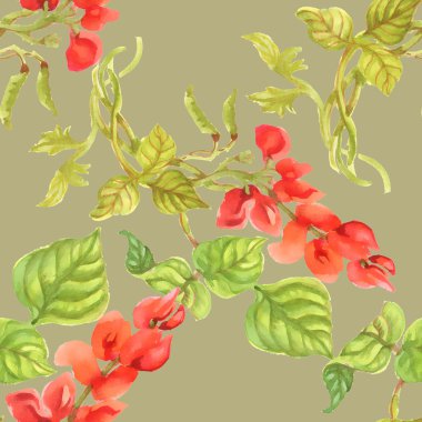 Renkli physalis arka plan