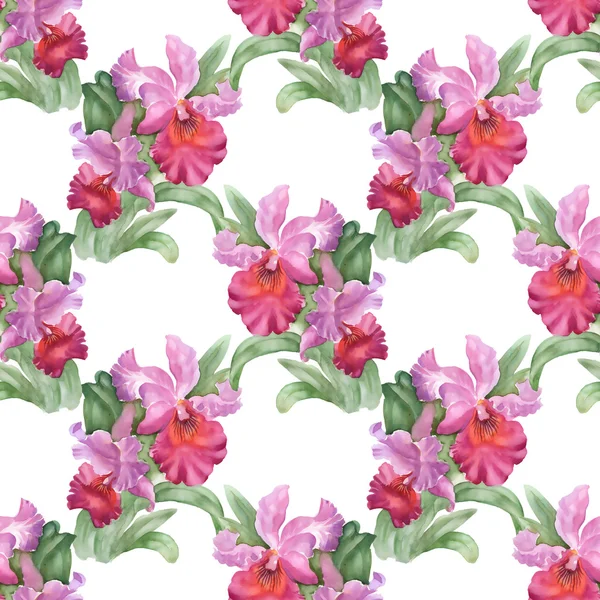 Bunte Iris Blumen Hintergrund — Stockfoto