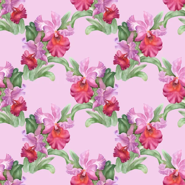 Барвистий фон з квітів райдуги — стокове фото